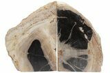Tall, Petrified Wood (Tropical Hardwood) Bookends - Indonesia #211762-1